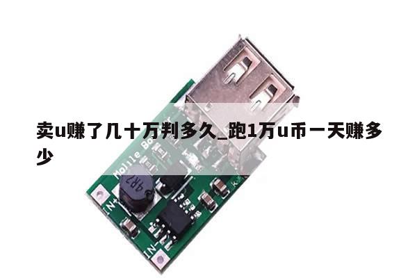 卖u赚了几十万判多久_跑1万u币一天赚多少-第1张图片-币选网