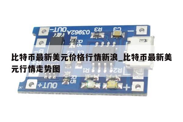 比特币最新美元价格行情新浪_比特币最新美元行情走势图-第1张图片-币选网