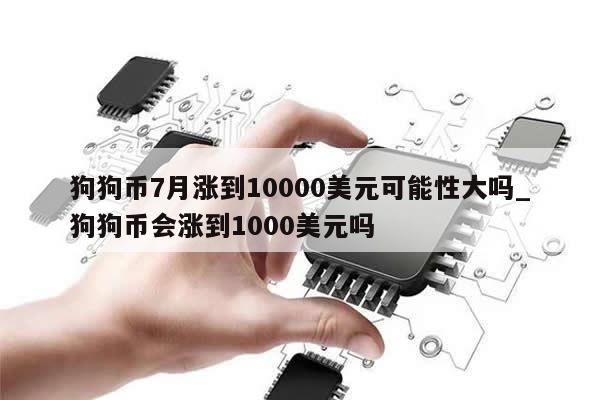 狗狗币7月涨到10000美元可能性大吗_狗狗币会涨到1000美元吗-第1张图片-币选网