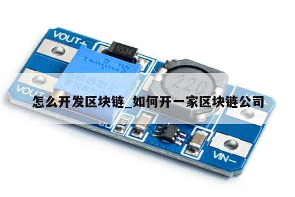 怎么开发区块链_如何开一家区块链公司-第1张图片-币选网