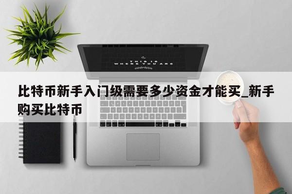 比特币新手入门级需要多少资金才能买_新手购买比特币-第1张图片-币选网