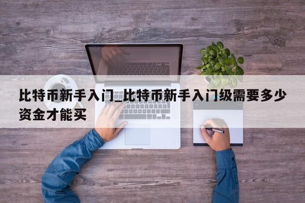 比特币新手入门_比特币新手入门级需要多少资金才能买-第1张图片-币选网