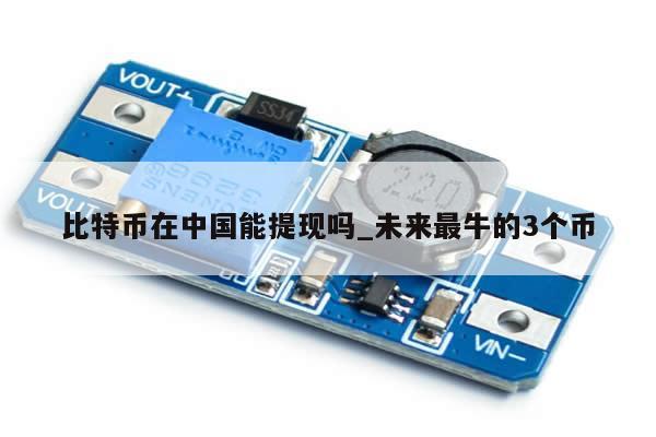 比特币在中国能提现吗_未来最牛的3个币-第1张图片-币选网