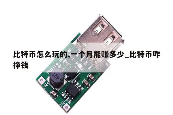 比特币怎么玩的,一个月能赚多少_比特币咋挣钱-第1张图片-币选网