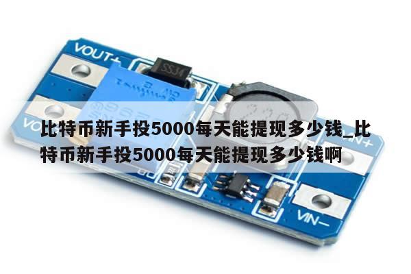 比特币新手投5000每天能提现多少钱_比特币新手投5000每天能提现多少钱啊-第1张图片-币选网
