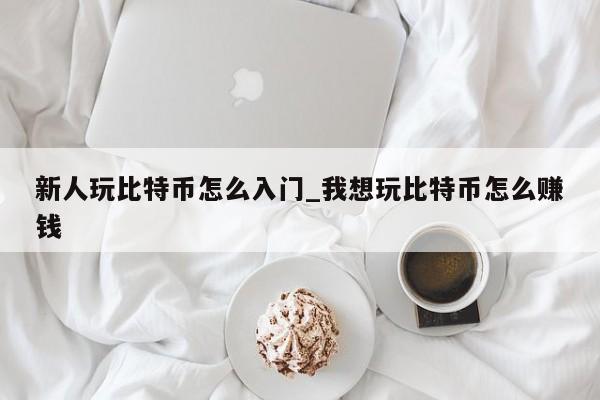 新人玩比特币怎么入门_我想玩比特币怎么赚钱-第1张图片-币选网