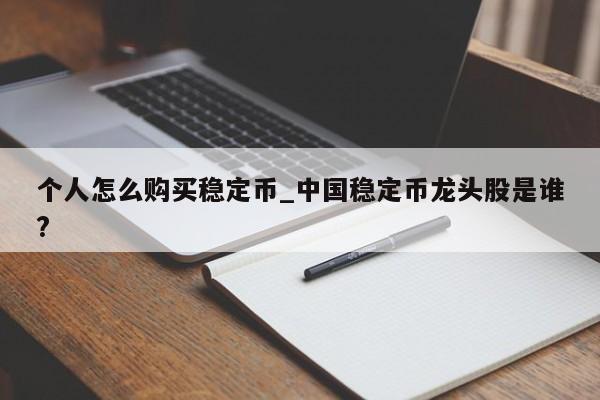 个人怎么购买稳定币_中国稳定币龙头股是谁?-第1张图片-币选网
