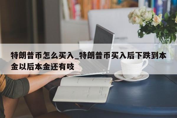 特朗普币怎么买入_特朗普币买入后下跌到本金以后本金还有吱-第1张图片-币选网