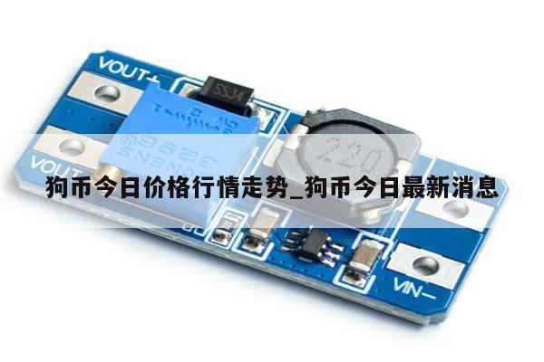 狗币今日价格行情走势_狗币今日最新消息-第1张图片-币选网