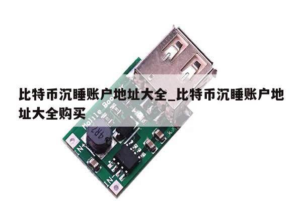 比特币沉睡账户地址大全_比特币沉睡账户地址大全购买-第1张图片-币选网