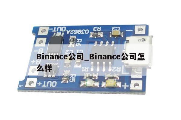 Binance公司_Binance公司怎么样-第1张图片-币选网