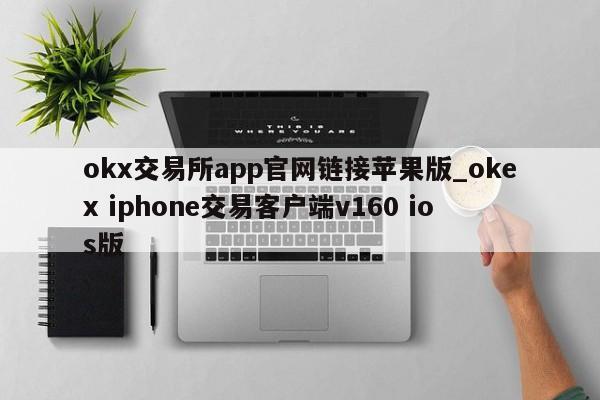 okx交易所app官网链接苹果版_okex iphone交易客户端v160 ios版-第1张图片-币选网