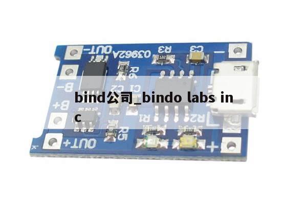bind公司_bindo labs inc-第1张图片-币选网