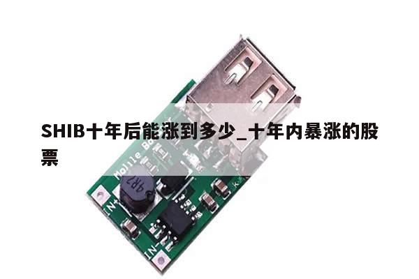 SHIB十年后能涨到多少_十年内暴涨的股票-第1张图片-币选网