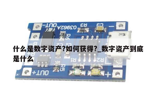 什么是数字资产?如何获得?_数字资产到底是什么-第1张图片-币选网