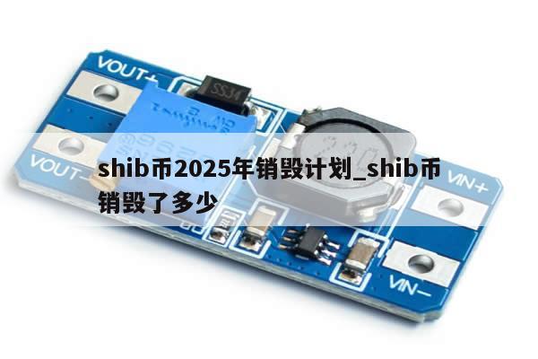 shib币2025年销毁计划_shib币销毁了多少-第1张图片-币选网