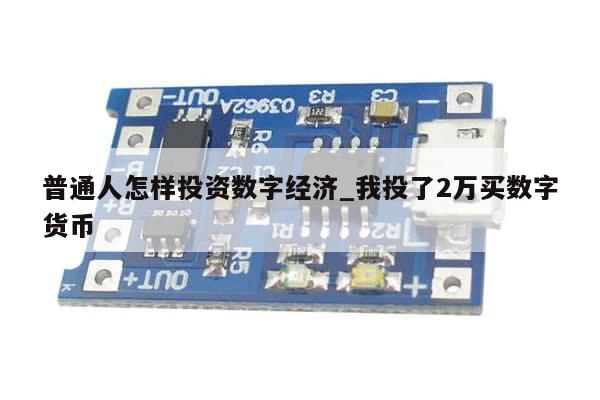 普通人怎样投资数字经济_我投了2万买数字货币-第1张图片-币选网