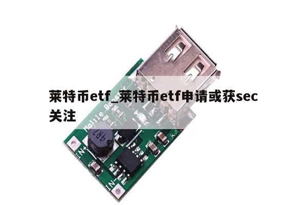 莱特币etf_莱特币etf申请或获sec关注-第1张图片-币选网