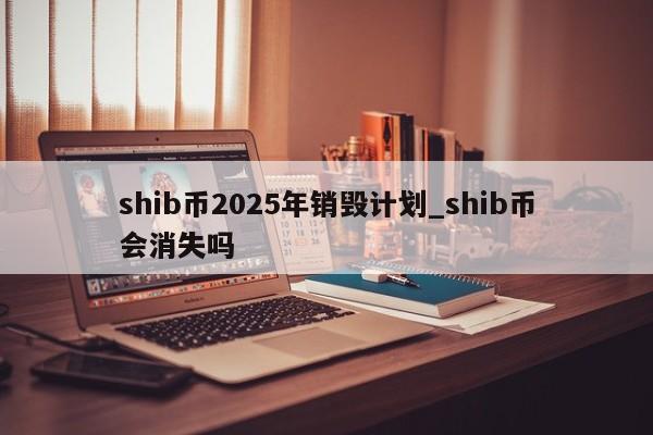 shib币2025年销毁计划_shib币会消失吗-第1张图片-币选网