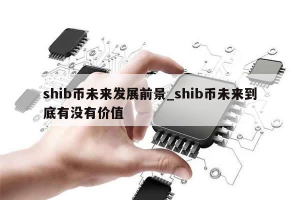 shib币未来发展前景_shib币未来到底有没有价值-第1张图片-币选网