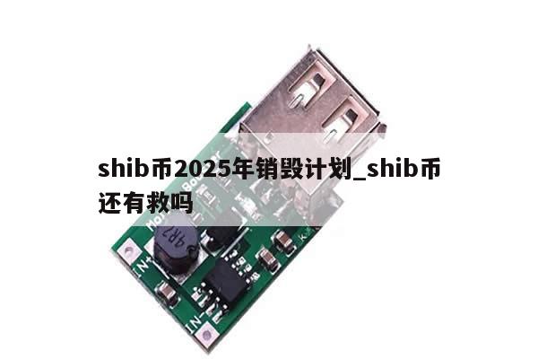shib币2025年销毁计划_shib币还有救吗-第1张图片-币选网