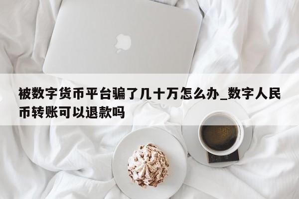 被数字货币平台骗了几十万怎么办_数字人民币转账可以退款吗-第1张图片-币选网