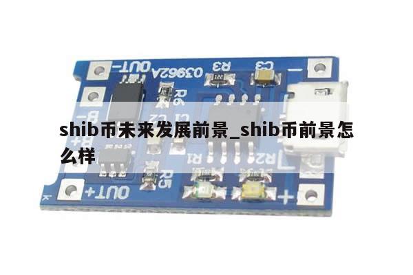 shib币未来发展前景_shib币前景怎么样-第1张图片-币选网