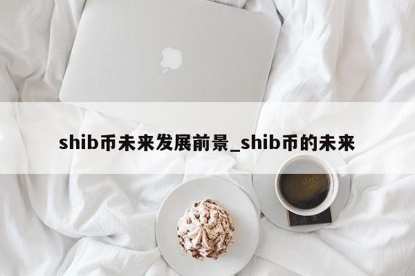 shib币未来发展前景_shib币的未来-第1张图片-币选网