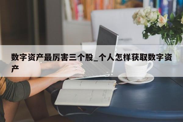 数字资产最厉害三个股_个人怎样获取数字资产-第1张图片-币选网