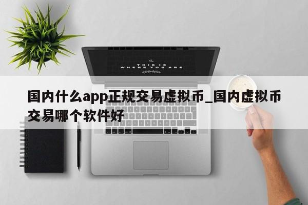国内什么app正规交易虚拟币_国内虚拟币交易哪个软件好-第1张图片-币选网