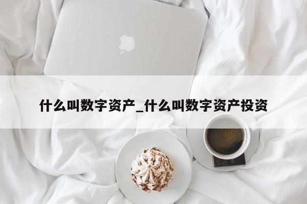 什么叫数字资产_什么叫数字资产投资-第1张图片-币选网
