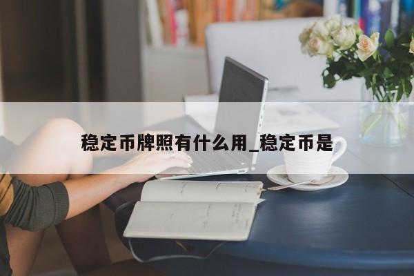 稳定币牌照有什么用_稳定币是-第1张图片-币选网