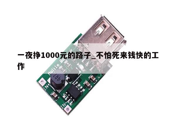 一夜挣1000元的路子_不怕死来钱快的工作-第1张图片-币选网