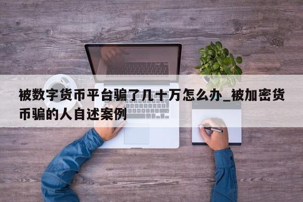 被数字货币平台骗了几十万怎么办_被加密货币骗的人自述案例-第1张图片-币选网