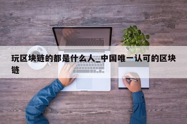 玩区块链的都是什么人_中国唯一认可的区块链-第1张图片-币选网