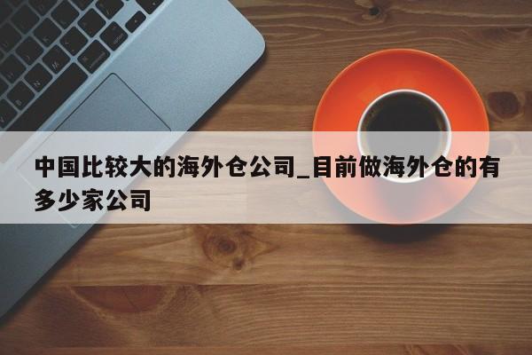 中国比较大的海外仓公司_目前做海外仓的有多少家公司-第1张图片-币选网