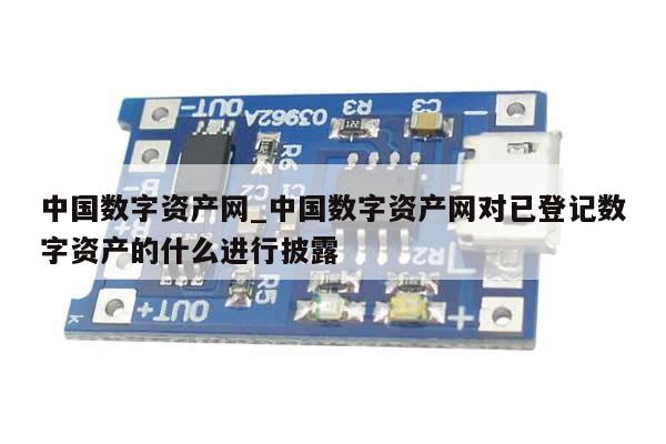 中国数字资产网_中国数字资产网对已登记数字资产的什么进行披露-第1张图片-币选网