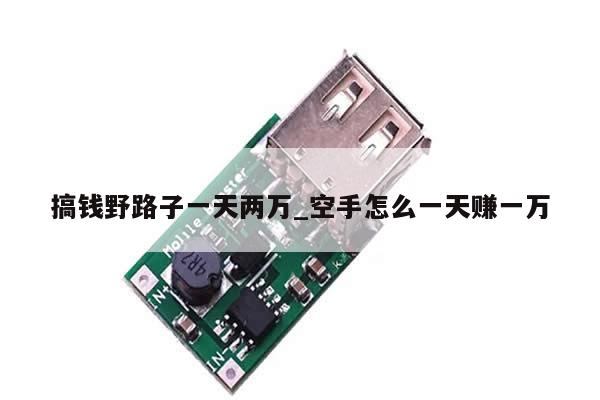 搞钱野路子一天两万_空手怎么一天赚一万-第1张图片-币选网