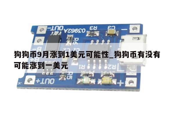 狗狗币9月涨到1美元可能性_狗狗币有没有可能涨到一美元-第1张图片-币选网