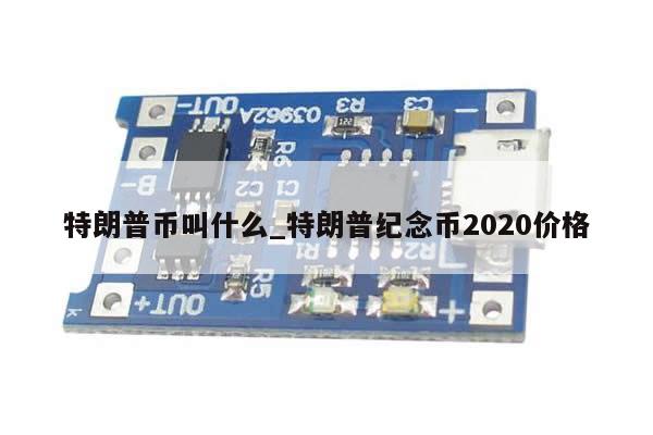 特朗普币叫什么_特朗普纪念币2020价格-第1张图片-币选网