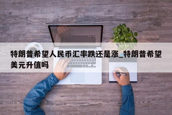 特朗普希望人民币汇率跌还是涨_特朗普希望美元升值吗-第1张图片-币选网
