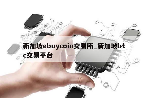 新加坡ebuycoin交易所_新加坡btc交易平台-第1张图片-币选网