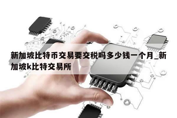 新加坡比特币交易要交税吗多少钱一个月_新加坡k比特交易所-第1张图片-币选网