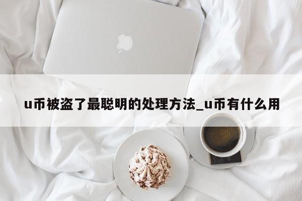 u币被盗了最聪明的处理方法_u币有什么用-第1张图片-币选网