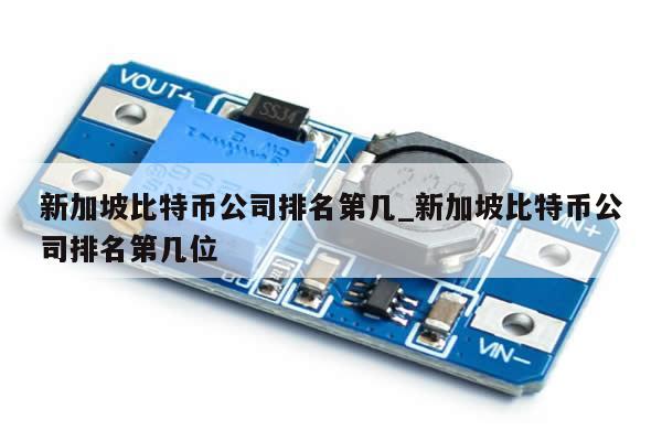 新加坡比特币公司排名第几_新加坡比特币公司排名第几位-第1张图片-币选网