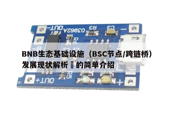 BNB生态基础设施（BSC节点/跨链桥）发展现状解析​的简单介绍-第1张图片-币选网