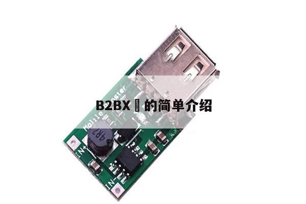 B2BX​的简单介绍-第1张图片-币选网