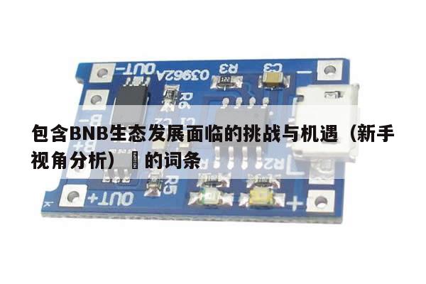 包含BNB生态发展面临的挑战与机遇（新手视角分析）​的词条-第1张图片-币选网