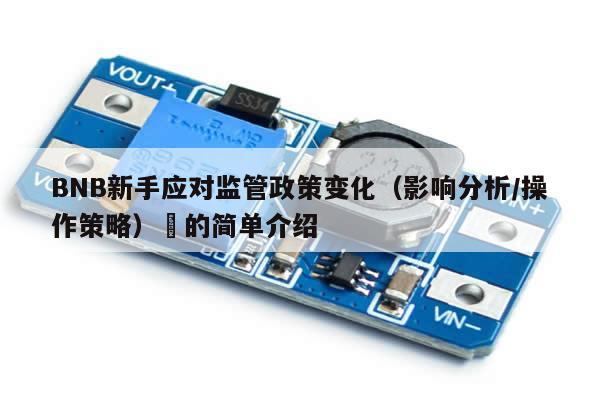BNB新手应对监管政策变化（影响分析/操作策略）​的简单介绍-第1张图片-币选网