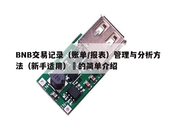 BNB交易记录（账单/报表）管理与分析方法（新手适用）​的简单介绍-第1张图片-币选网